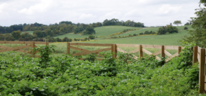 Fence in a farm with rolling hills